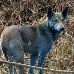 f.elconfidencial.com_original_4c1_277_e41_4c1277e41859a214454931f5c8e04476