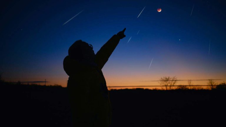 xr:d:DAF17ewDJ9k:2,j:4507388463273061260,t:23120313