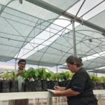 productividad-agricola5-768x472