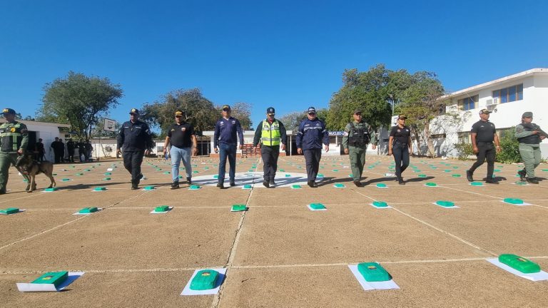 Comisión mixta incautó más de 200 kilogramos de marihuana en el estado Falcón 2
