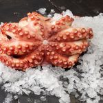 PULPO-COCIDO-1