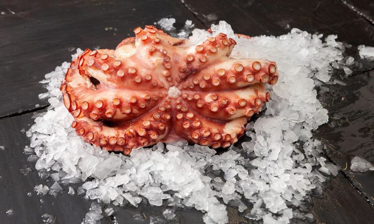 PULPO-COCIDO-1