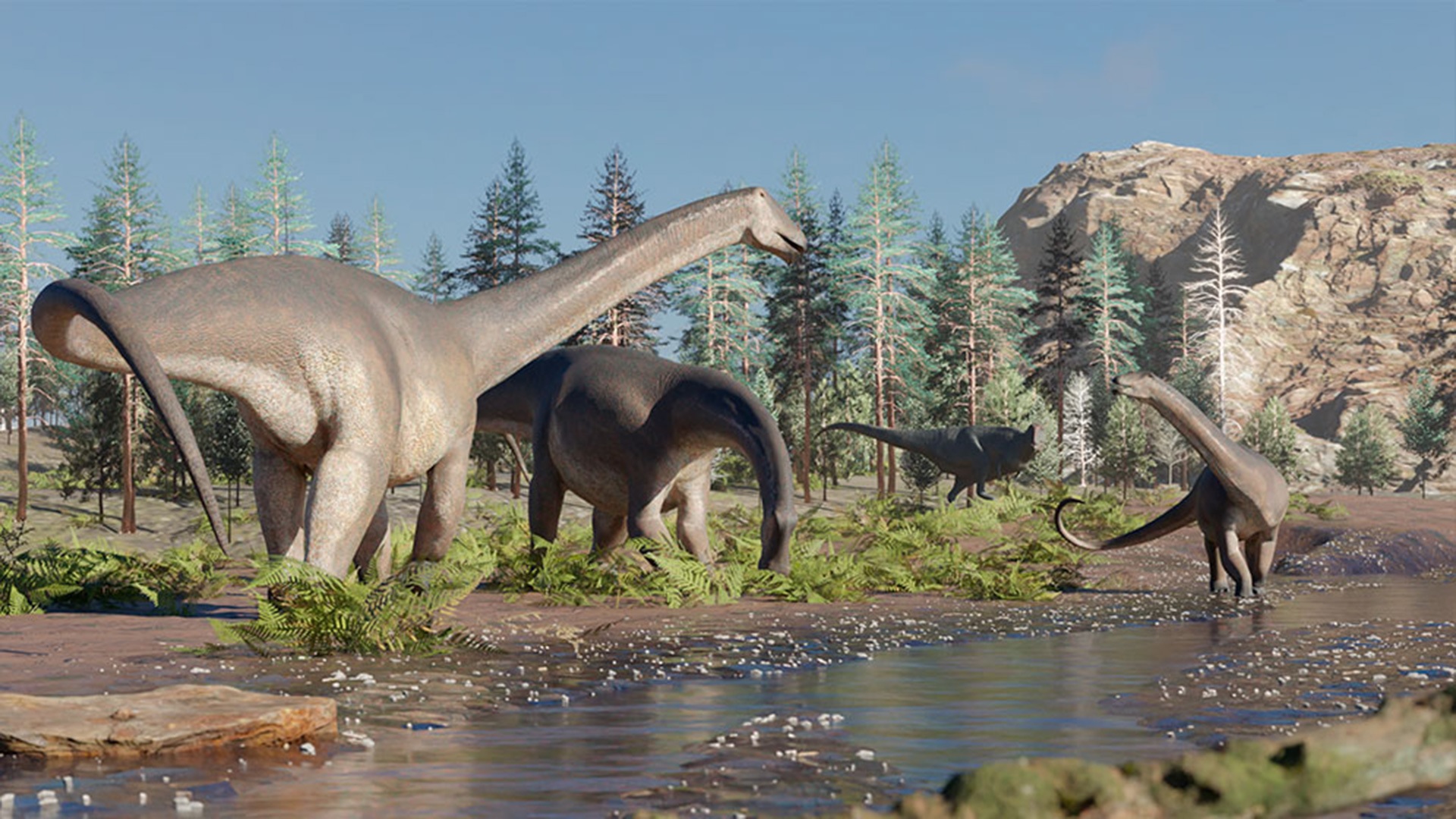 Descubren Nueva Especie De Dinosaurio Gigante En La Patagonia El Foco