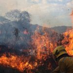 incendio-frontera-2170f6