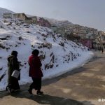 photo_5451922952178830849_y (1)