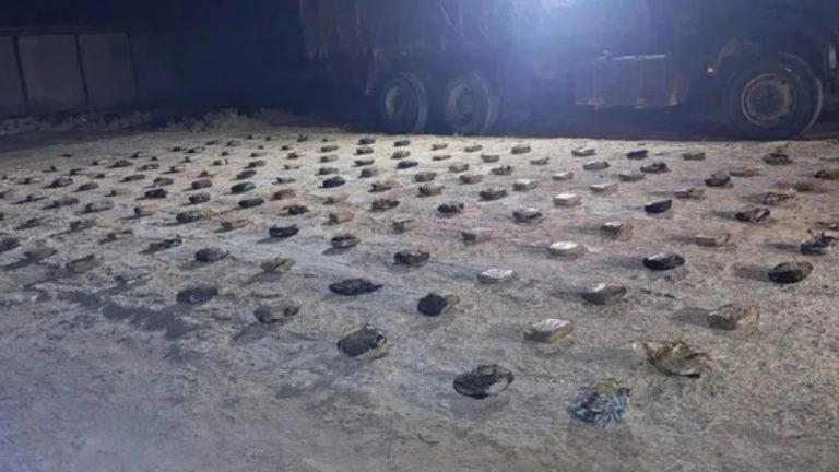 1772034764826331360xg