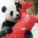 699998a259bf5b2765016a36