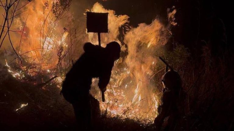 ministro-freddy-nanez-incendio-forestal-en-los-teques-esta-totalmente-controlado-y-liquidado-56646jpg-193784