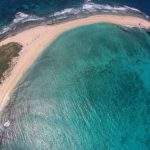 1774020400714332489xg