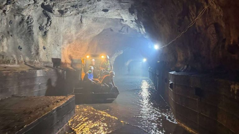 1774828738849332945xg