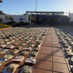 IMG_20260316_173819_553