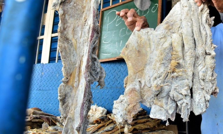 IMG_20260325_124705_282