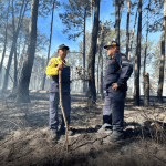 INCENDIO