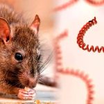 Proyecto-nuevo-18-2-1068x601