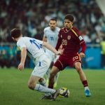 Vinotinto