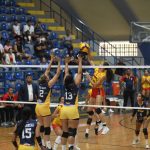Voleibol