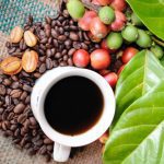 beneficios-cafe-organico