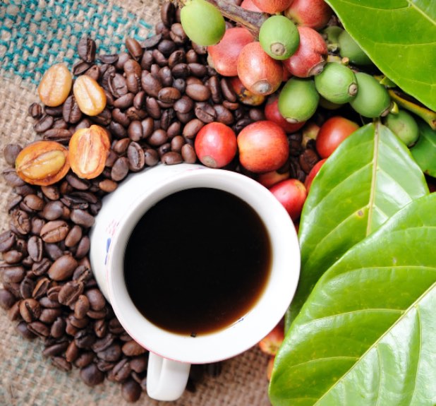 beneficios-cafe-organico