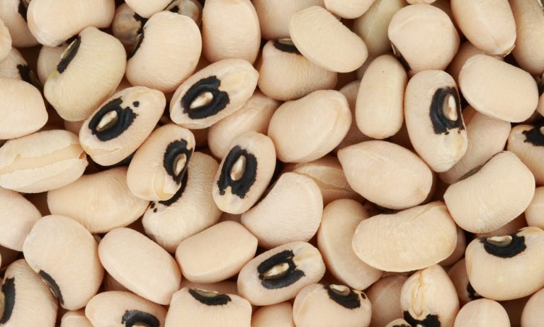 frijol-blanco-guarico