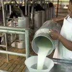leche-jpg.