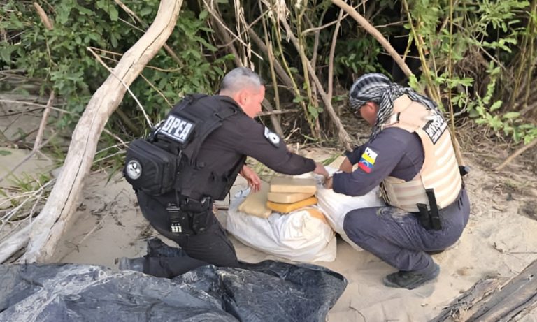 photo_4985771807738629112_x1