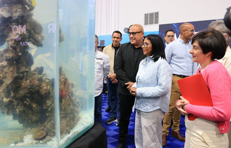 02_ZC__9016_P-1536x983