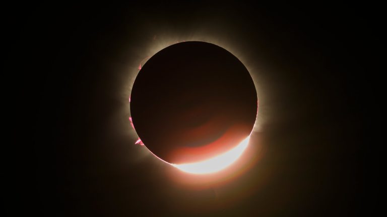 1002072966
