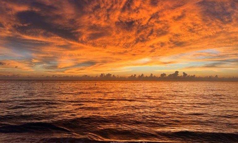 IMG_20260404_110341_292