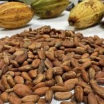 IMG_20260430_140709_375