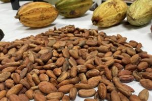 IMG_20260430_140709_375