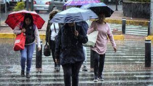 Proyecto-nuevo-17-3-1068x601