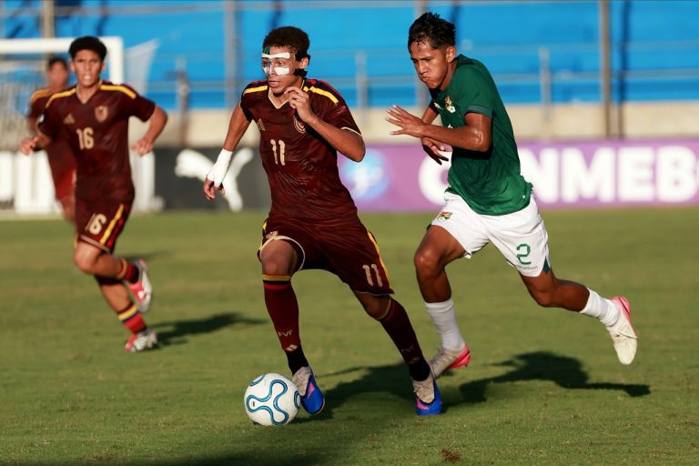 Vinotinto