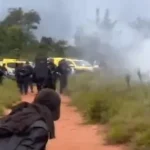 guarani-brasil.jpg-1