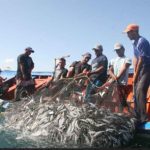 industria-pesquera-uruguay-1