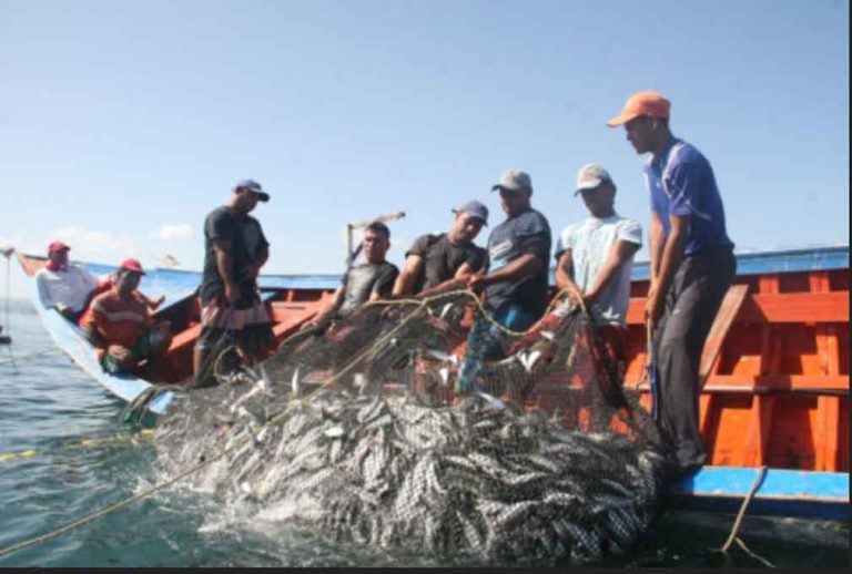 industria-pesquera-uruguay-1