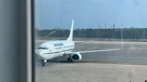 1779460792241335741xg