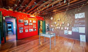 Fundacion-Casa-de-Jorge-Amado-1