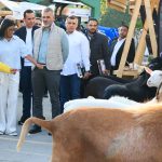 IMG_20260513_190126_342
