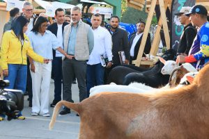 IMG_20260513_190126_342