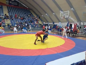 Sambo