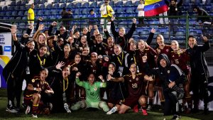 Vinotinto