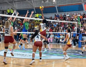 Voleibol