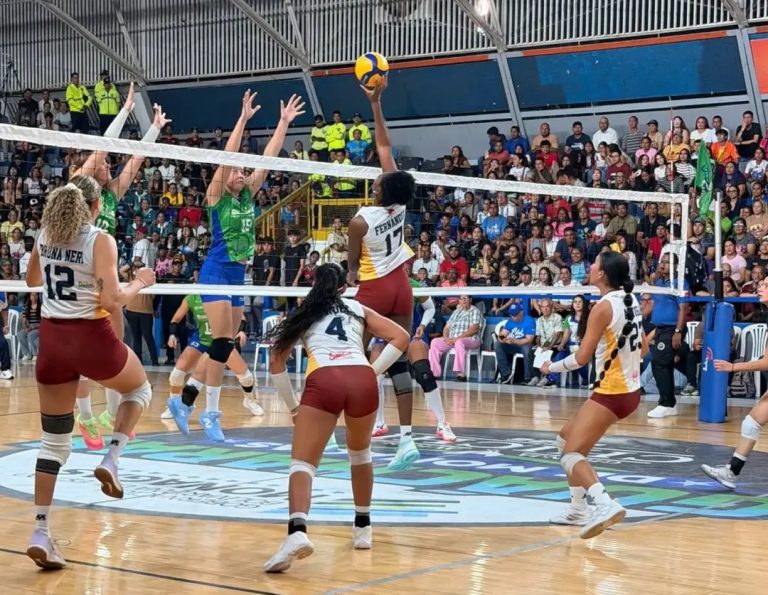 Voleibol