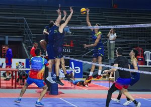 Voleibol