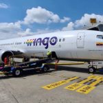 cortesia-wingo-52763
