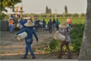 migra.jpg
