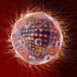 18-Descubren-un-extrano-virus-gigante-que-se-reproduce-como-ningun-otro-conocido.jpg