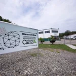Cientificos-venezolanos-impulsan-polinizacion-dirigida-del-cacao