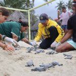 IMG_20260611_144901_969