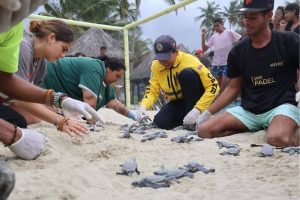 IMG_20260611_144901_969